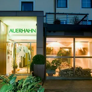 Penzion Restaurant Auerhahn, Solnohrad